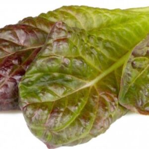 Click And Grow Click & Grow siemenet Smart Pot - Punainen roomansalaatti, 3kpl.