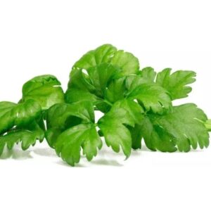 Click And Grow Click & Grow siemenet Smart Potille - Selleri (SGR97X3) 3kpl.