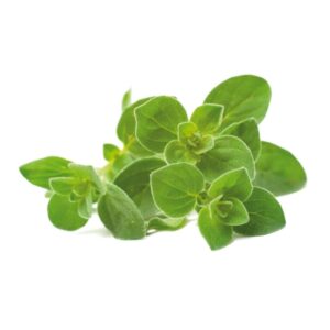 Click and Grow - Smart Garden 3 kpl - Oregano siemenet