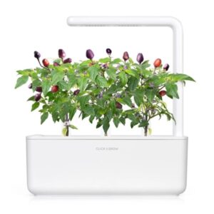 Click and Grow Smart Garden 9-osainen täydennyspakkaus - violetti chilipaprika sisäkasvatukseen, sisältää runsaasti vitamiineja ja antioksidantteja