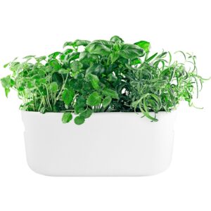 Eva solo Itsekasteleva Herb Organizer, valkoinen